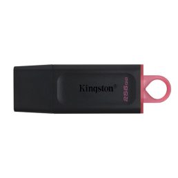   Kingston 256GB USB3.2 DataTraveler Exodia (DTX/256GB) Flash Drive