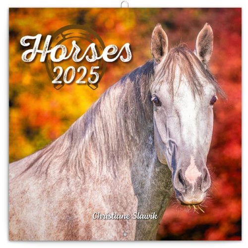 Realsystem 2025 Horses 6097-HO falinaptár