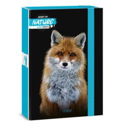 Ars Una Máté Bence-Fox 24 (5388) A4 füzetbox