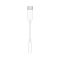 Apple MW2Q3ZM/A USB-C - 3,5mm Jack adapter