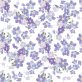   IRIS Daisy-Maki Koktél szalvéta 25x25cm, 20db/csomag, 3 rétegű, vegyes minták