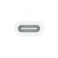 Apple mwml3zm/a Type-C - Apple Pencil adapter