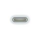 Apple mwml3zm/a Type-C - Apple Pencil adapter