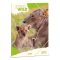 Ars Una Icons of the Wild-Lions 25 (5504) A4 gumis mappa