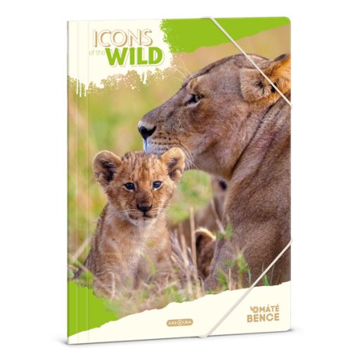 Ars Una Icons of the Wild-Lions 25 (5504) A4 gumis mappa