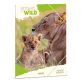 Ars Una Icons of the Wild-Lions 25 (5504) A4 gumis mappa
