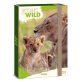 Ars Una Icons of the Wild-Lions 25 (5504) A4 füzetbox