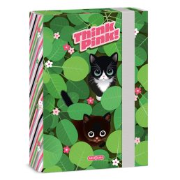 Ars Una Think-Pink 25 (5462) A5 füzetbox