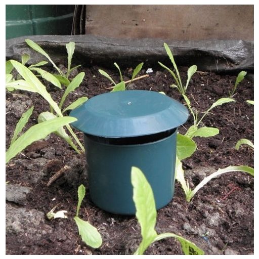 Vegyszermentes csiga csapda