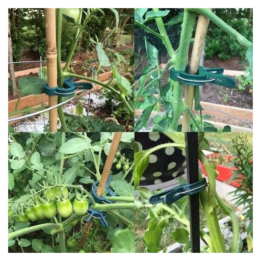 Palánta rögzítő csipesz (20 db)