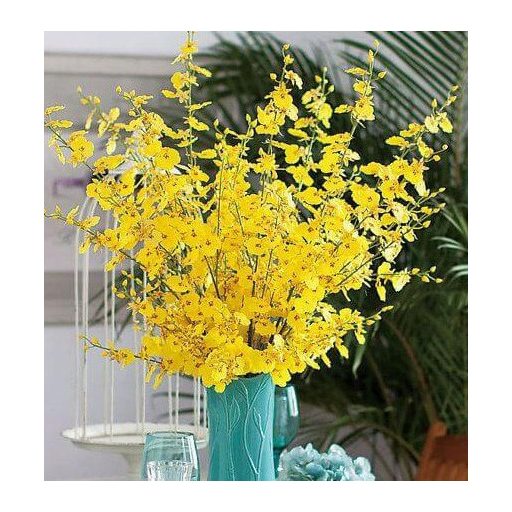 Örökzöld selyem virágszirmok (100 db)