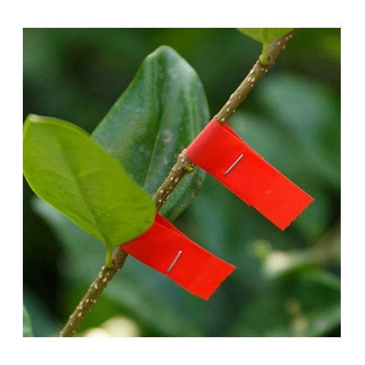 Kötözőgép szalag