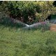  Hunter Spray sávöntöző, sávszóró fúvóka RCS-515 - rögzített, 1,5 × 4,6 m - jobb sarokból, - mélykék